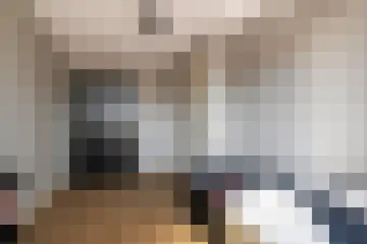 Venebrugge 5 Raalte thumbnail 28