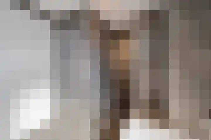 Venebrugge 5 Raalte thumbnail 31