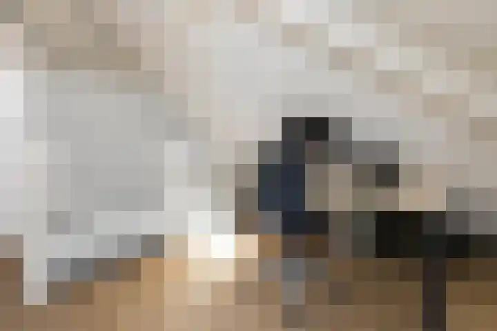 Venebrugge 5 Raalte thumbnail 33