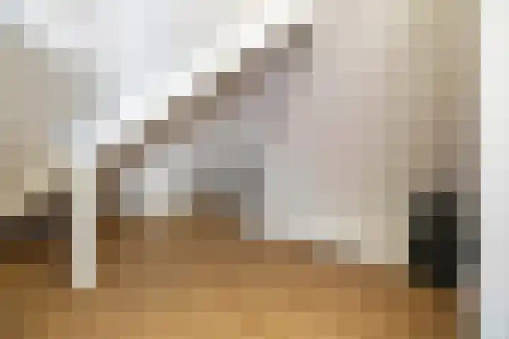 Venebrugge 5 Raalte thumbnail 34