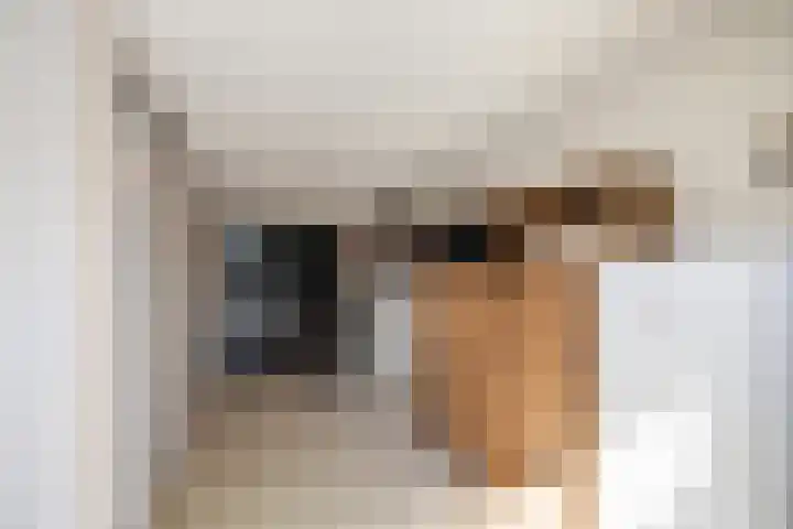 Venebrugge 5 Raalte thumbnail 37