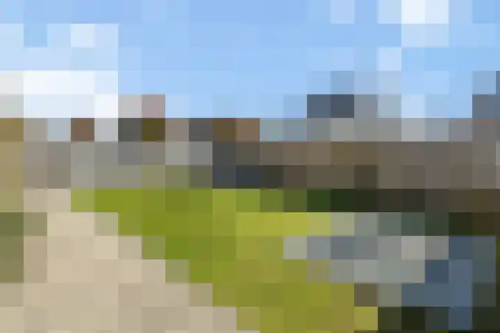 Venebrugge 5 Raalte thumbnail 42