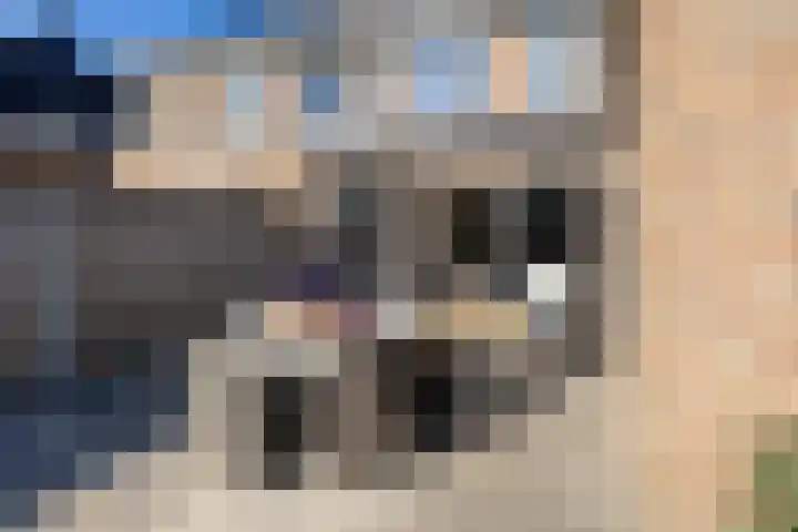 Venebrugge 5 Raalte thumbnail 43