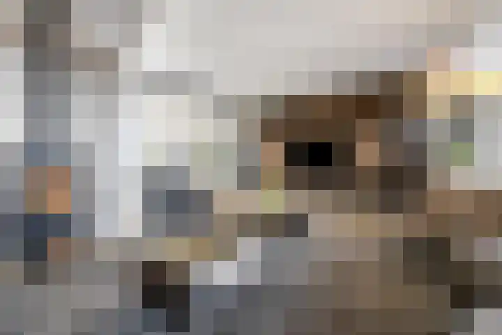 Venebrugge 5 Raalte thumbnail 6
