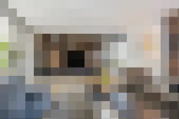 Venebrugge 5 Raalte thumbnail 7