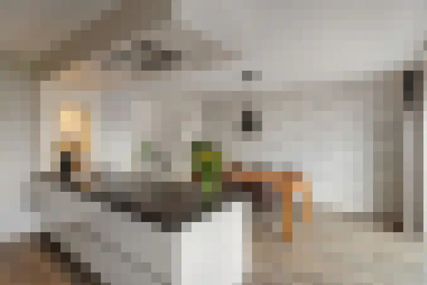 Venebrugge 8 Raalte thumbnail 14