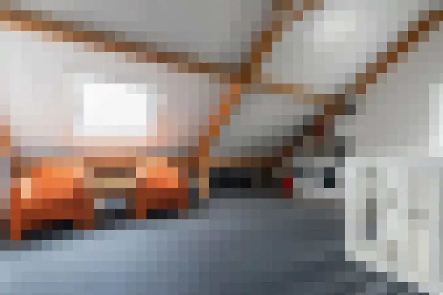 Venebrugge 8 Raalte thumbnail 31
