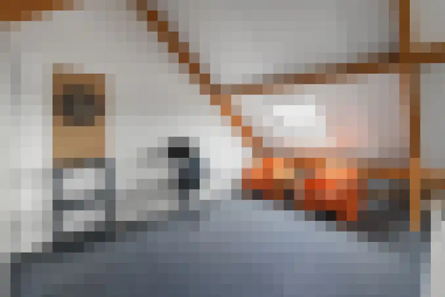 Venebrugge 8 Raalte thumbnail 32