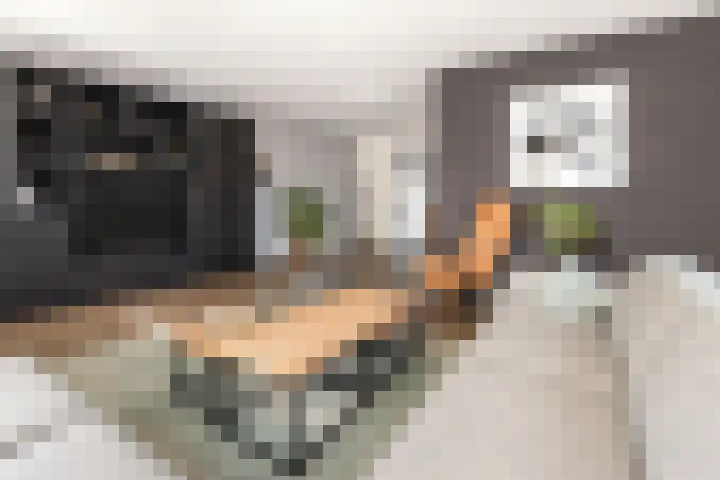Venebrugge 8 Raalte thumbnail 7