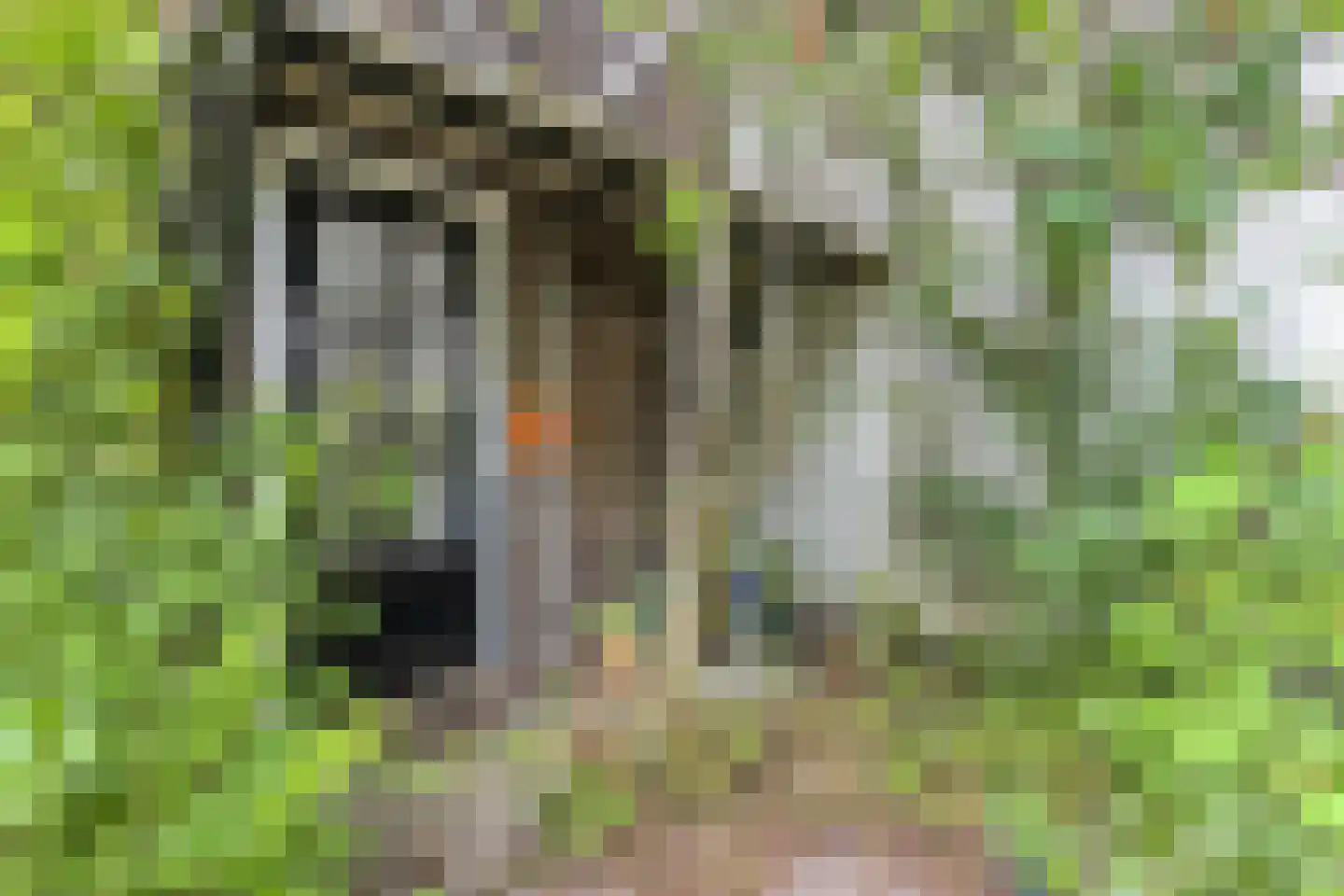 Venediën 7 Purmerend thumbnail 33