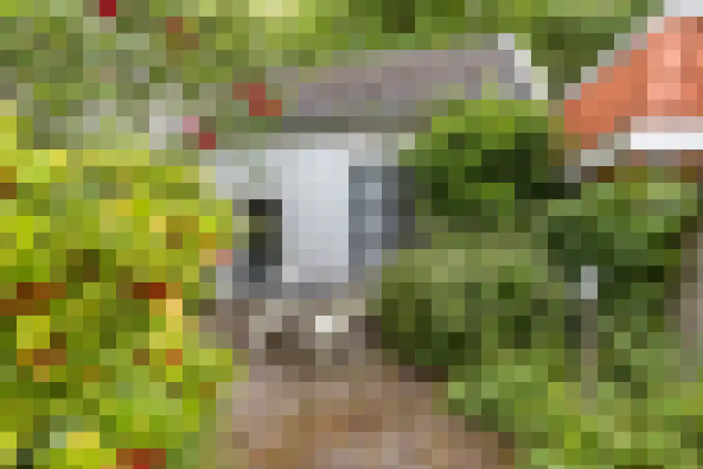 Venediën 7 Purmerend thumbnail 35
