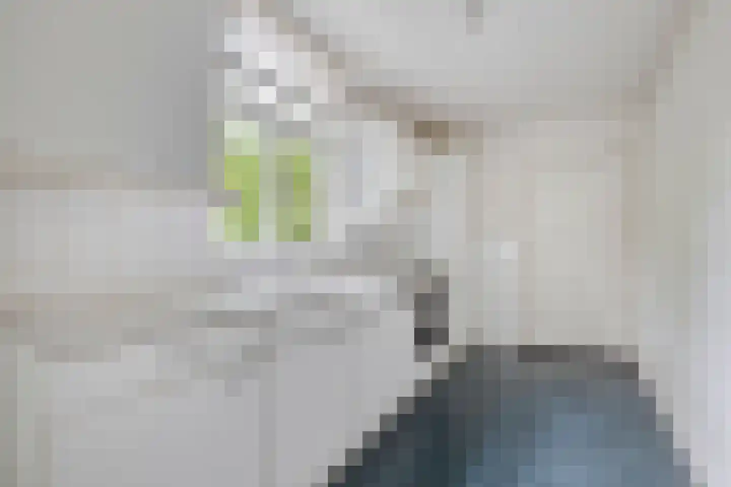 Venediën 7 Purmerend thumbnail 5