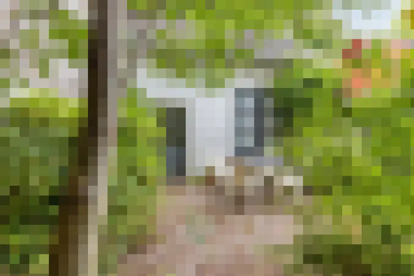 Venediën 7 Purmerend thumbnail 6