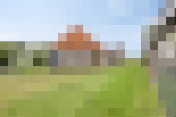 Venedijk Zuid 1 Kamperveen thumbnail 35