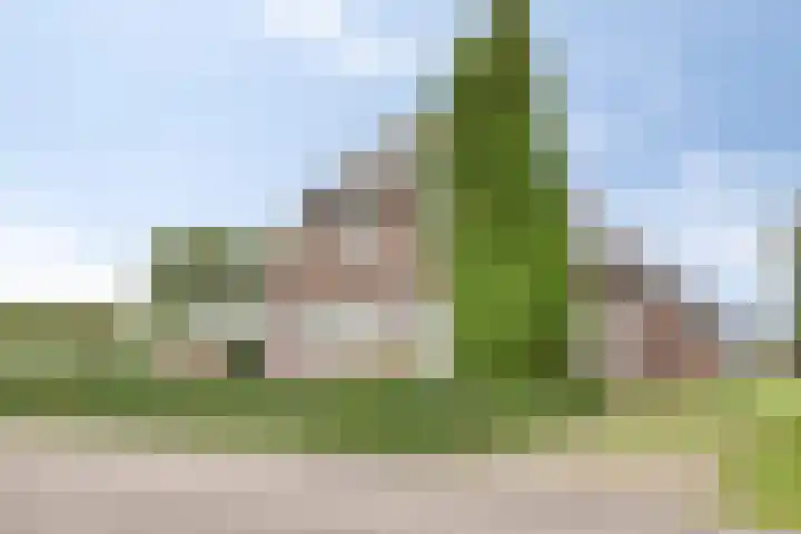 Venedijk Zuid 1 Kamperveen thumbnail 8