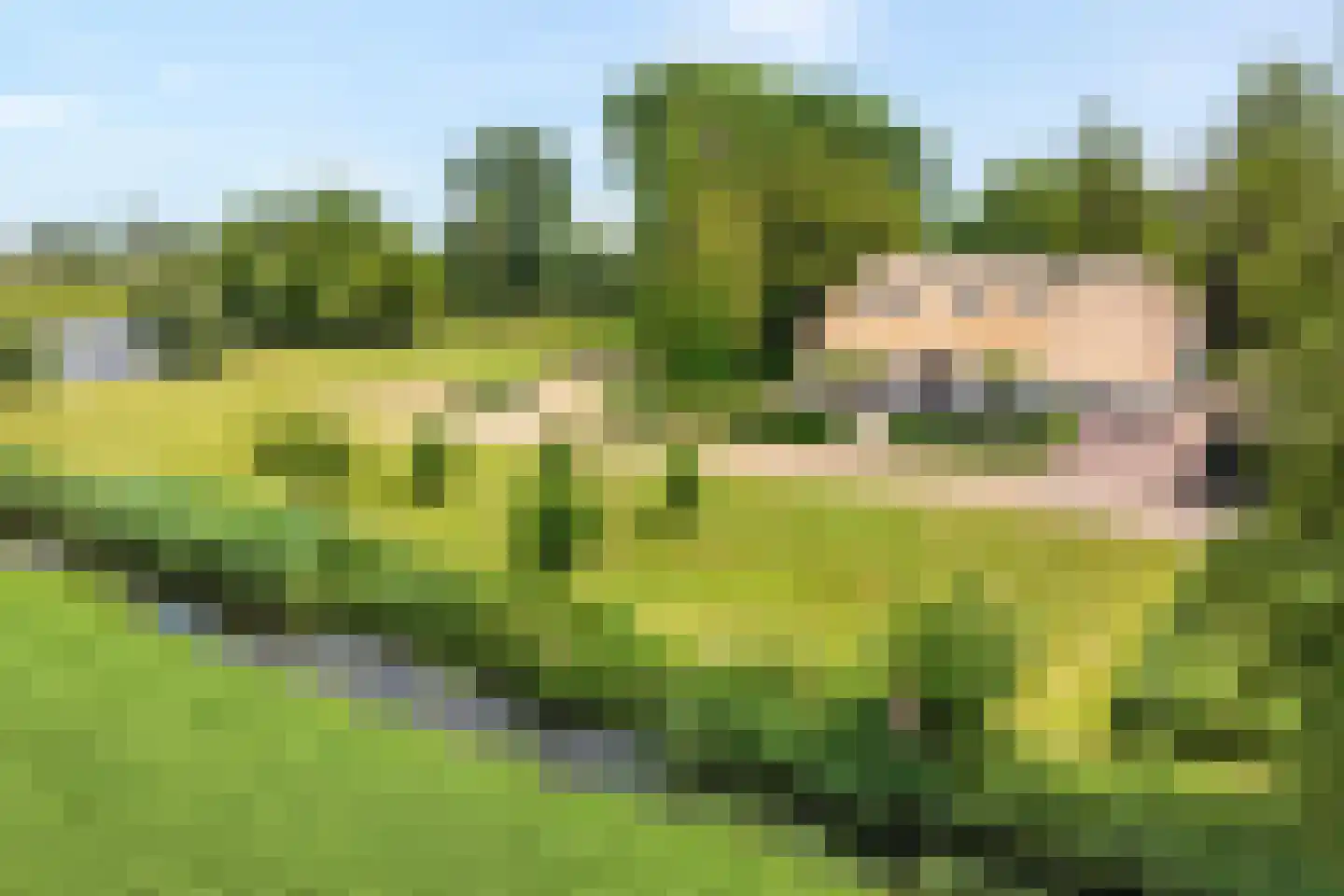 Venedijk Zuid 3 Kamperveen thumbnail 10
