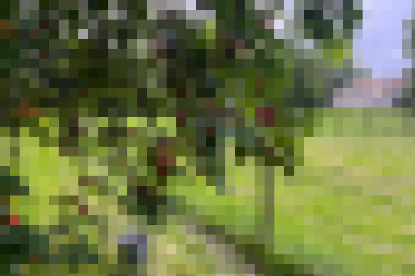 Venedijk Zuid 3 Kamperveen thumbnail 101