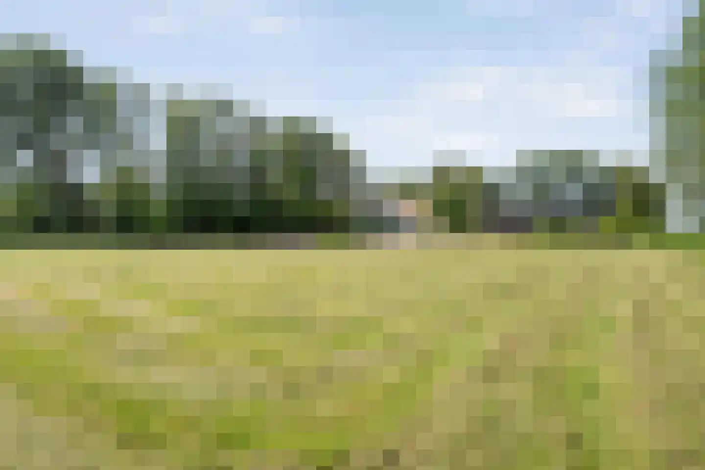 Venedijk Zuid 3 Kamperveen thumbnail 16