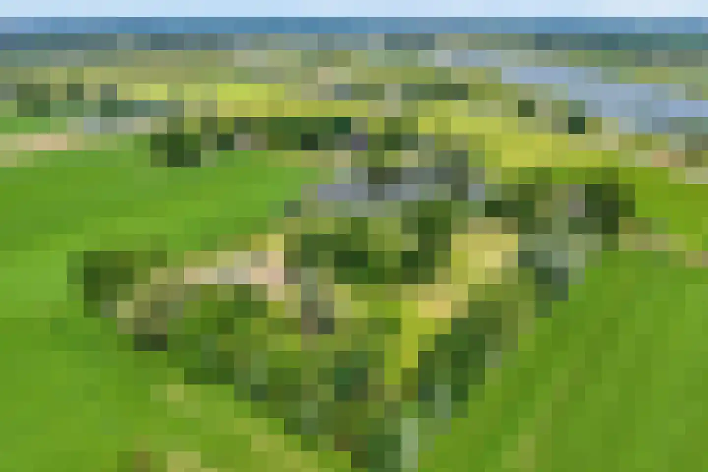 Venedijk Zuid 3 Kamperveen thumbnail 9