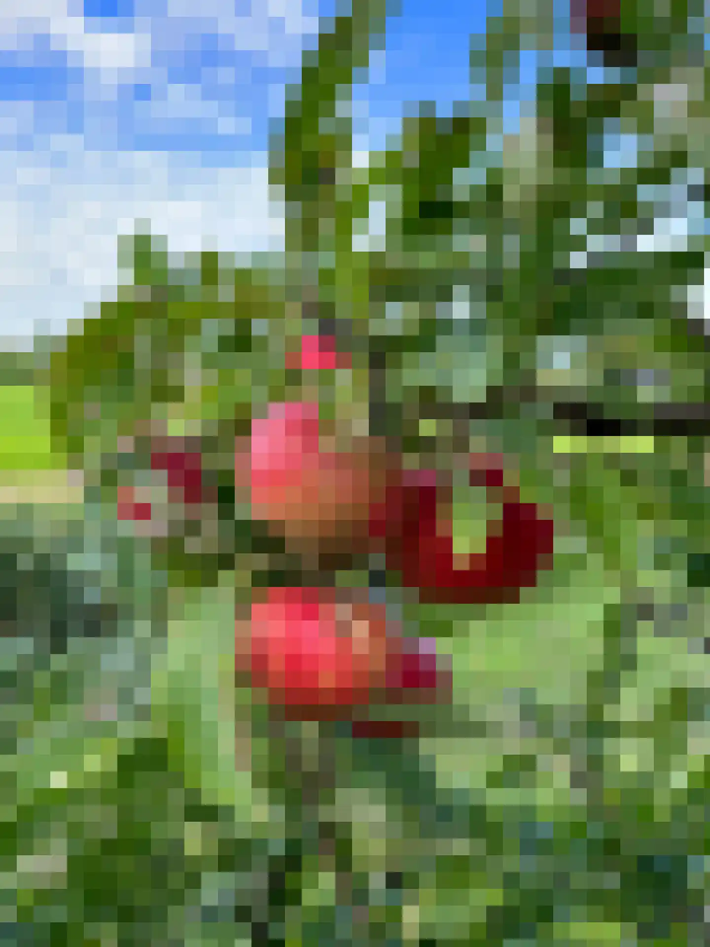 Venedijk Zuid 3 Kamperveen thumbnail 93