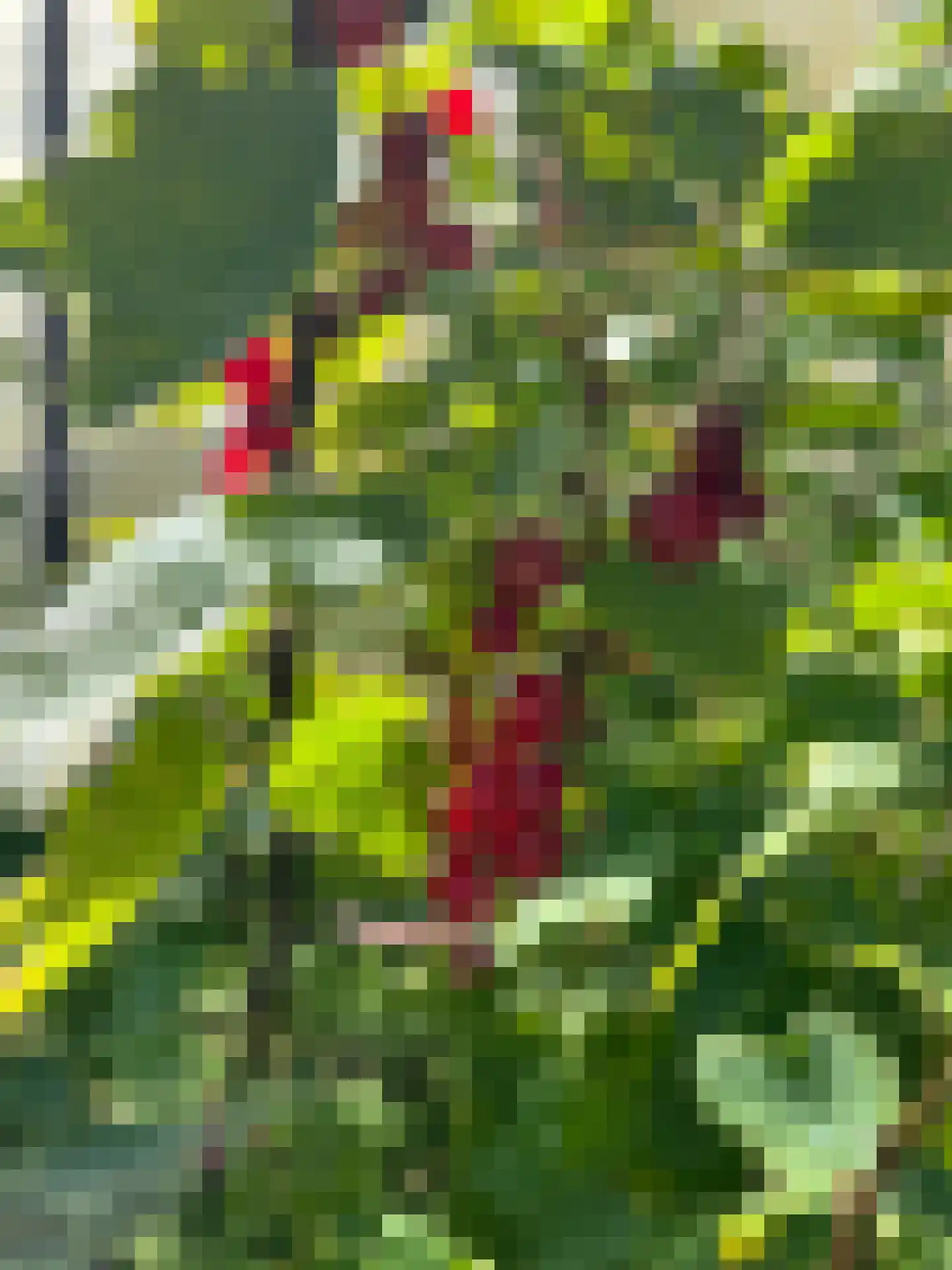 Venedijk Zuid 3 Kamperveen thumbnail 99