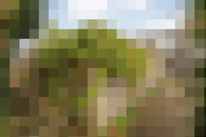 Venekamp 17 Zuidwolde thumbnail 29