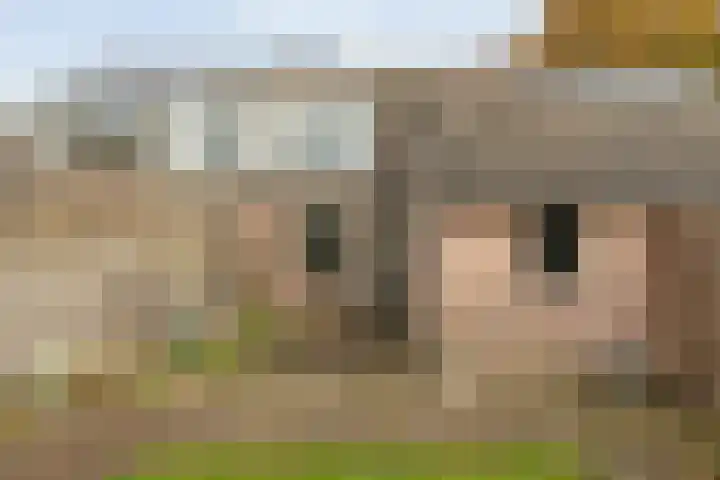 Venekamp 17 Zuidwolde thumbnail 31