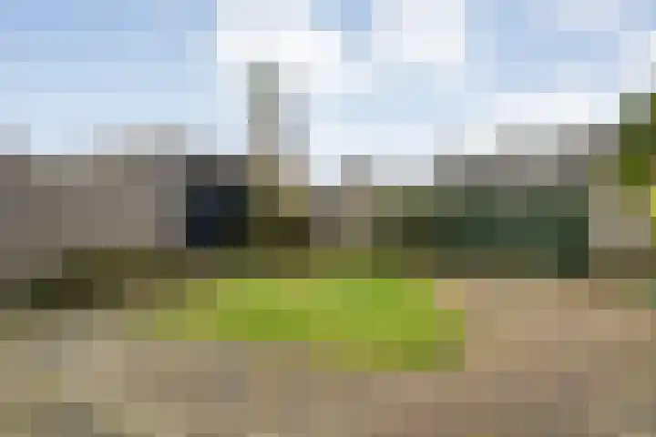 Venekamp 17 Zuidwolde thumbnail 32