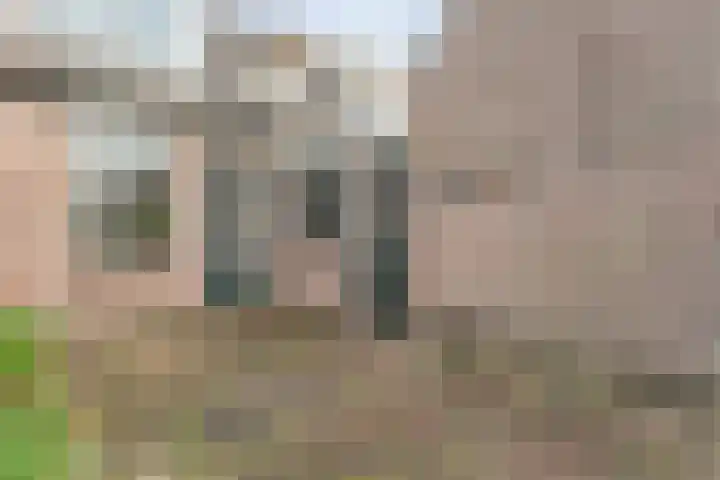 Venekamp 17 Zuidwolde thumbnail 33
