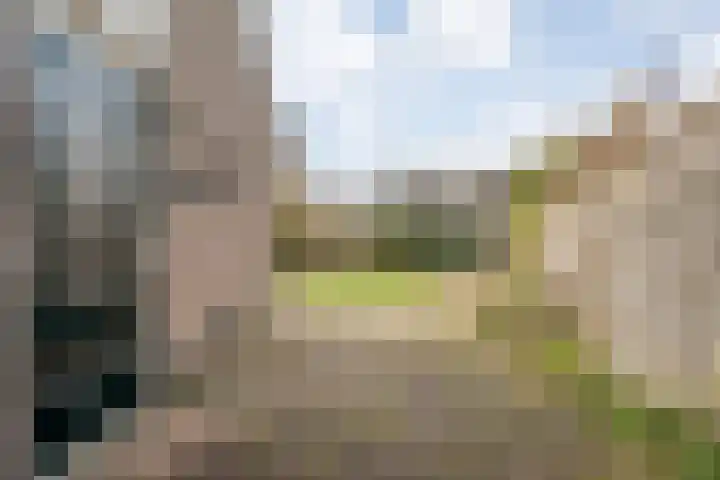 Venekamp 17 Zuidwolde thumbnail 34