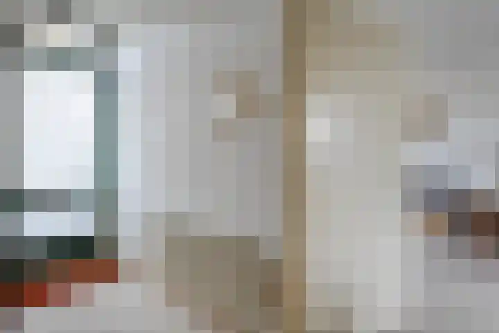 Venekamp 17 Zuidwolde thumbnail 5