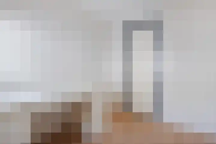 Venelaan 7 32 Rutten thumbnail 22