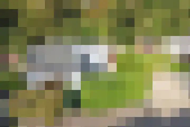 Venelaan 7 32 Rutten thumbnail 37