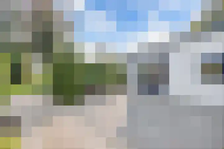 Venelaan 7 32 Rutten thumbnail 5