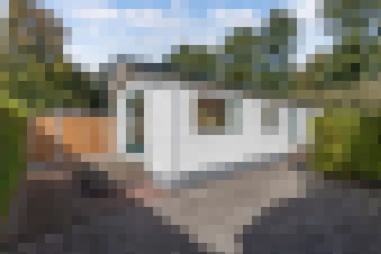 Venelaan 7 47 Rutten thumbnail 24