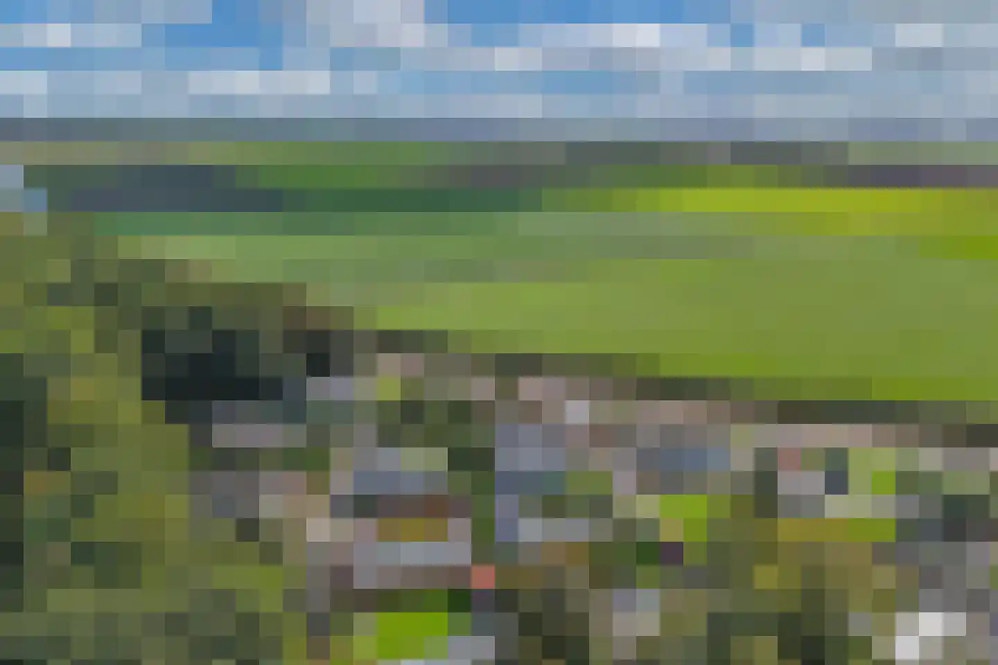 Venelaan 7 47 Rutten thumbnail 37