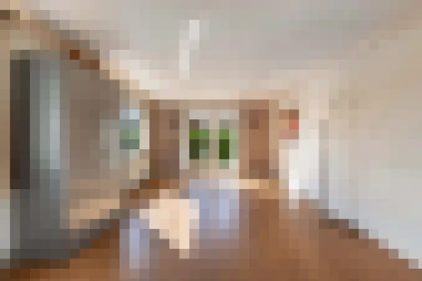 Venelaan 7 47 Rutten thumbnail 8