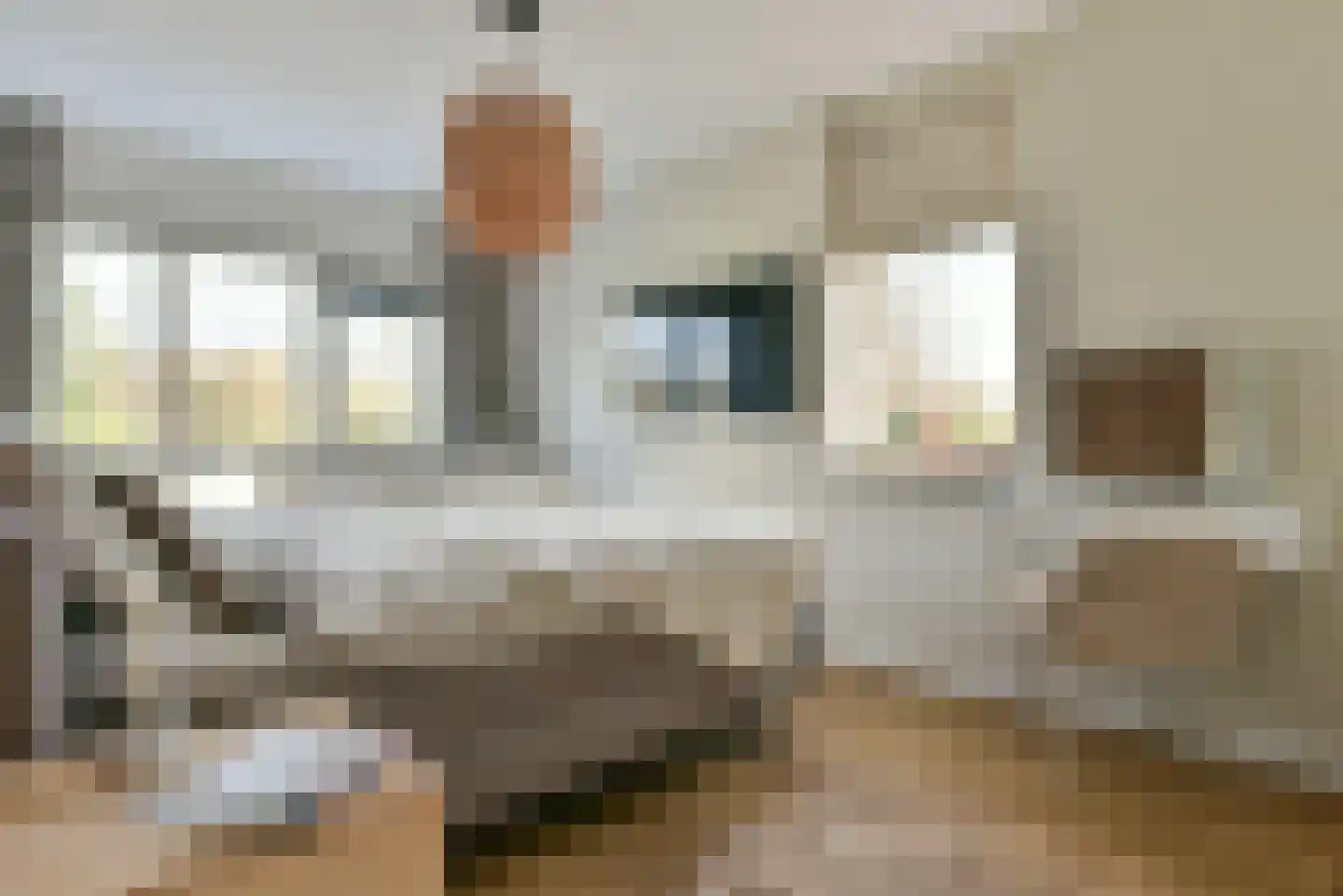Venenburg 14 Nederhorst den Berg thumbnail 18