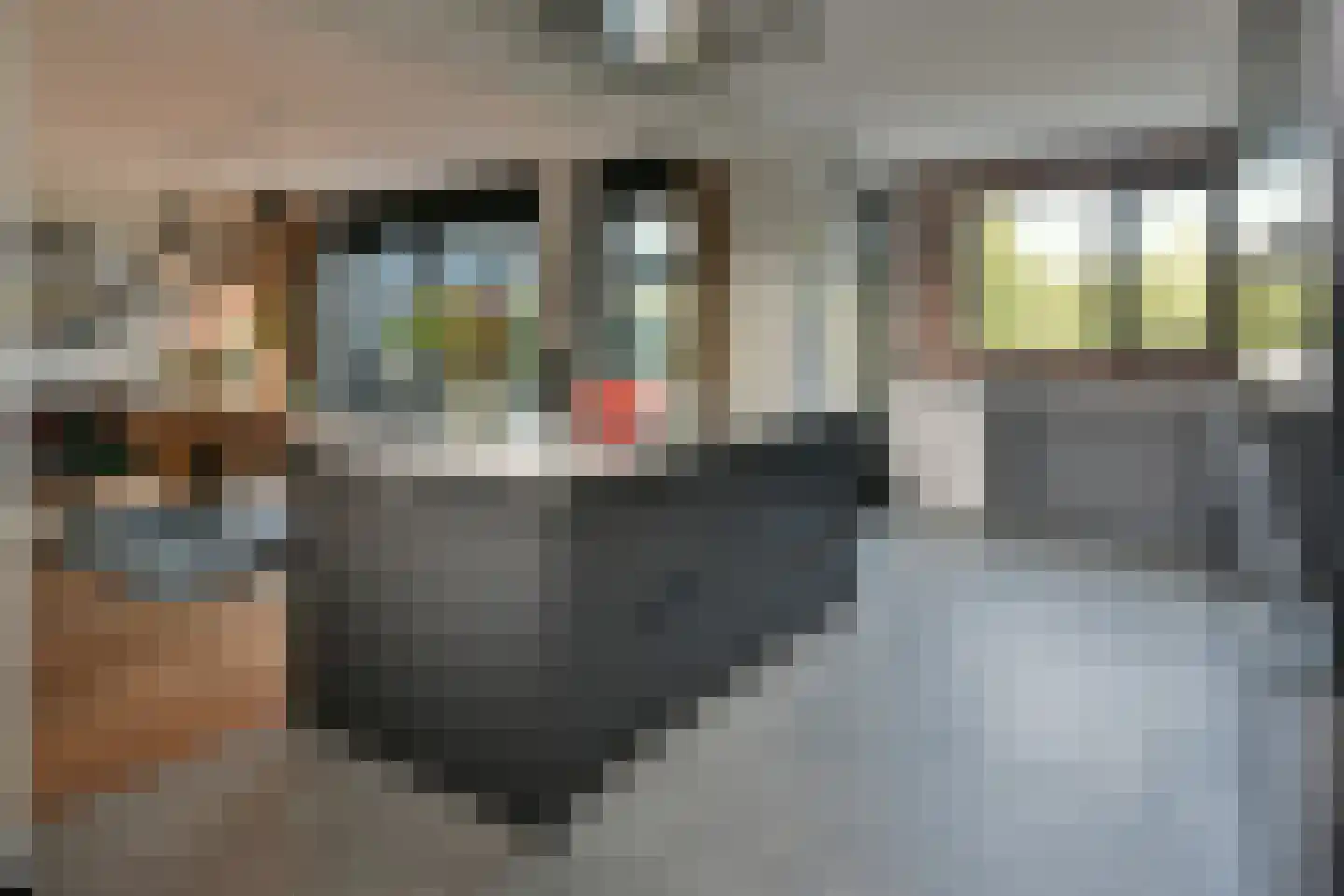 Venenburg 14 Nederhorst den Berg thumbnail 8