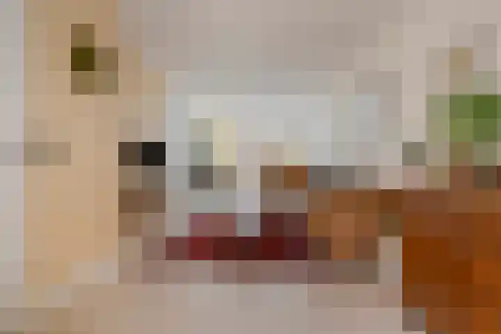 Venenlaan 110 Hoorn thumbnail 11