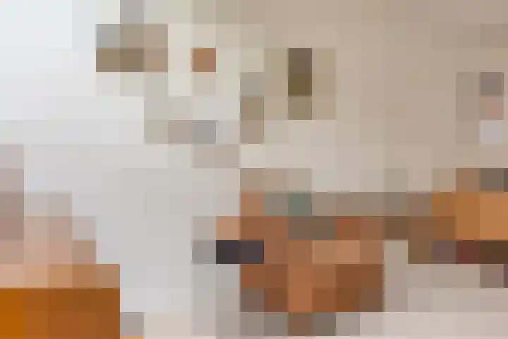 Venenlaan 110 Hoorn thumbnail 13