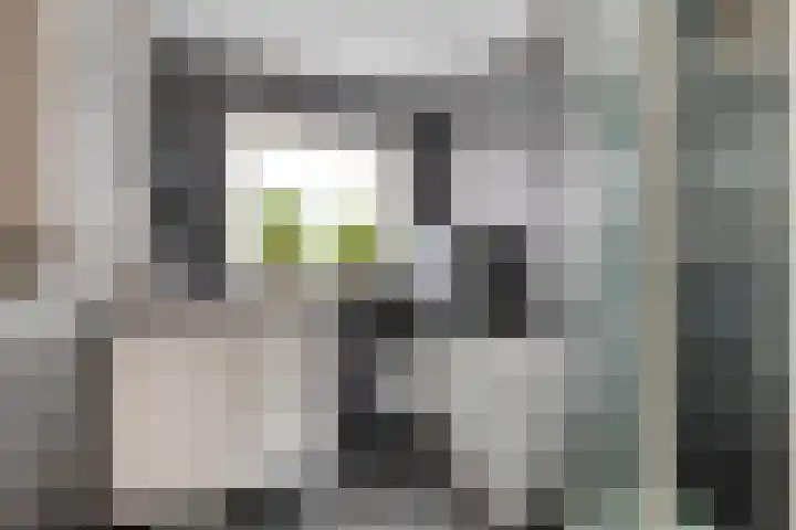Venenlaan 110 Hoorn thumbnail 28