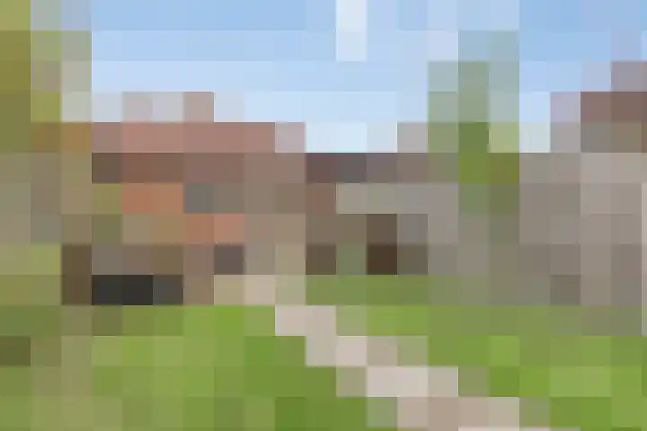 Venenlaan 110 Hoorn thumbnail 38
