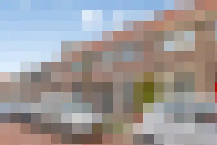 Venenlaan 110 Hoorn thumbnail 44