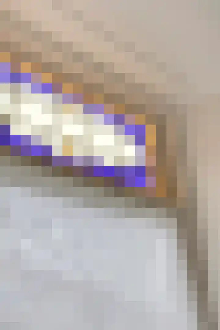Venenlaan 110 Hoorn thumbnail 9
