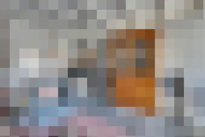 Venenlaan 120 Hoorn thumbnail 11