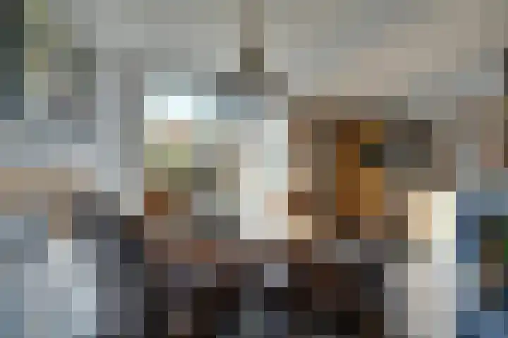 Venenlaan 120 Hoorn thumbnail 12