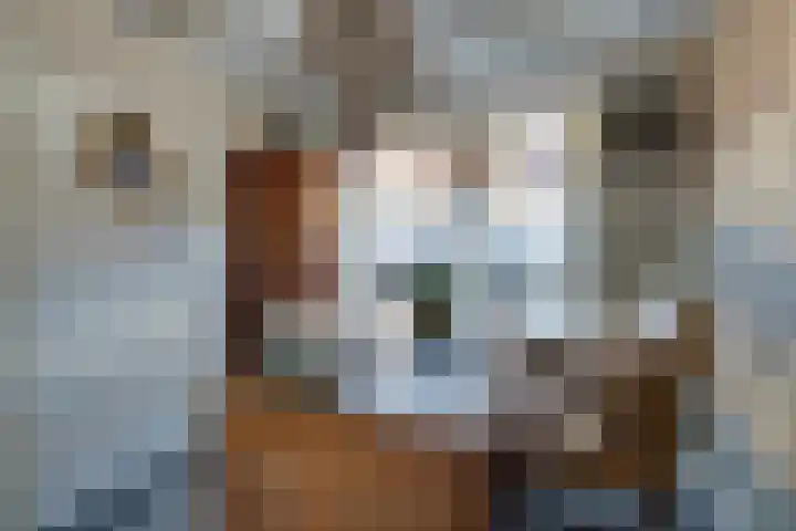Venenlaan 120 Hoorn thumbnail 18