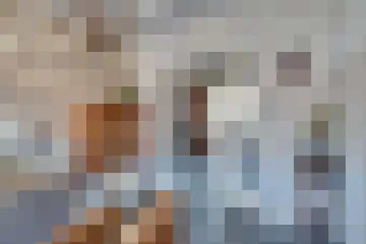 Venenlaan 120 Hoorn thumbnail 20