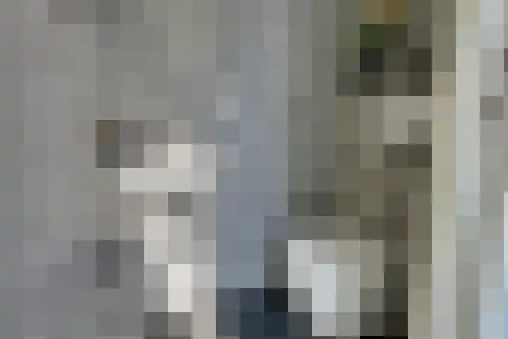 Venenlaan 120 Hoorn thumbnail 29